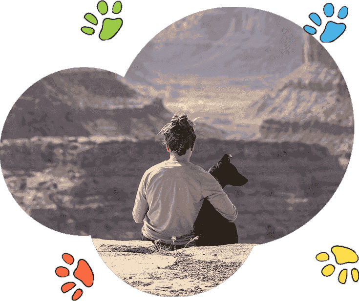 骚扰电话呼叫软件